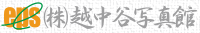 �H�c�s�y��̎ʐ^��(�t�H�g�X�^�W�I)�B�x�r�[�E���܎O�E�������w�E���l���E�U�������^���E�t�H�g�E�F�f�B���O�܂ŋL�O�ʐ^�Ȃ炨�܂����������B