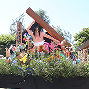 土崎神明社祭の曳山写真ギャラリー