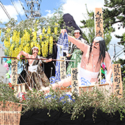 土崎神明社祭の曳山写真ギャラリー